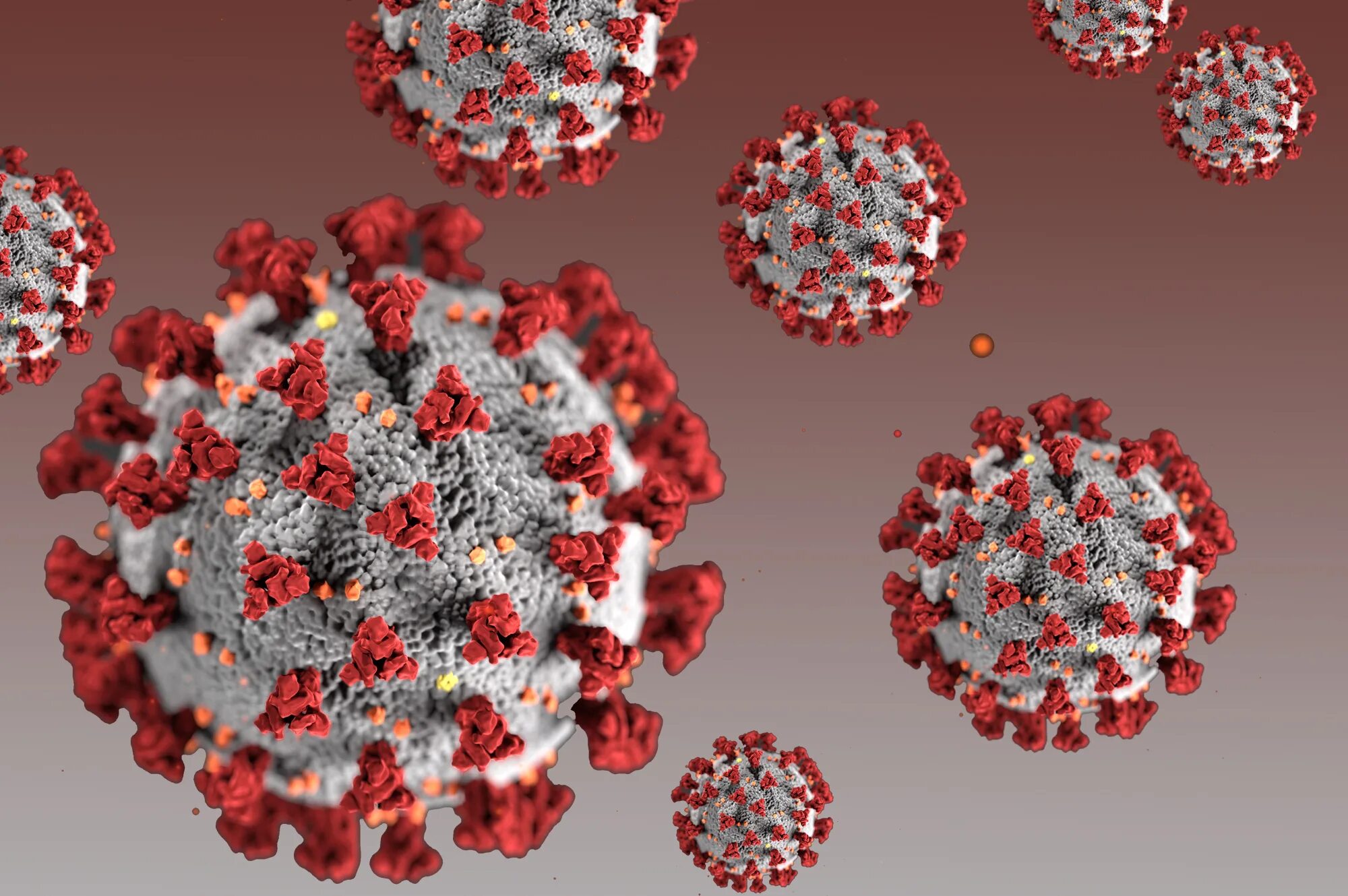 Коронавирус sars-cov-2. Coronavirus am. Coronavirus am. Структура коронавируса covid 19. Коронавирус спрайт.