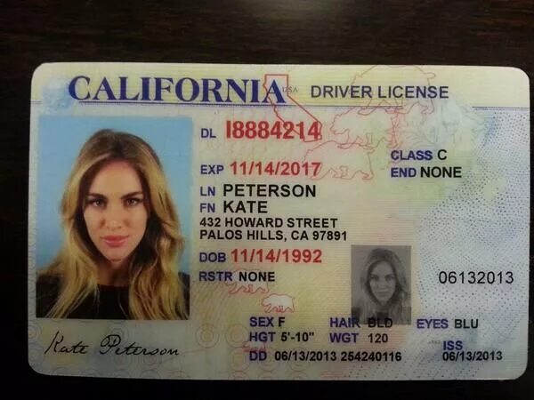 Ids license. ID карта США. ID карта американца.