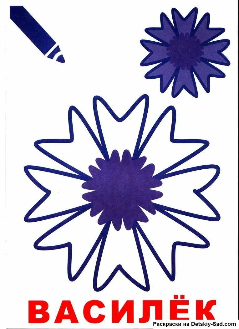 Трафарет василька из фоамирана. Шаблон василька для вырезания распечатать. Шаблон цветка василек. Цветы из фоамирана василек выкройка. Раскраски цветы васильки.