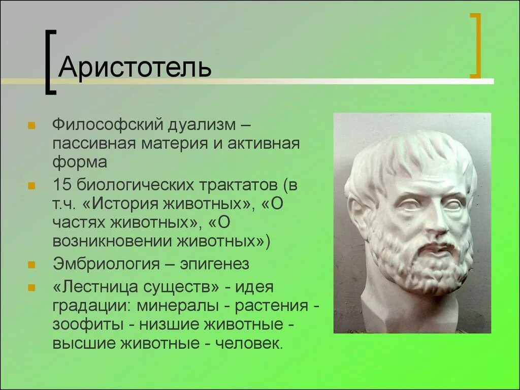 Дуализм Аристотеля. Философия Аристотеля. Аристотель Эволюция. Аристотель рационалист.