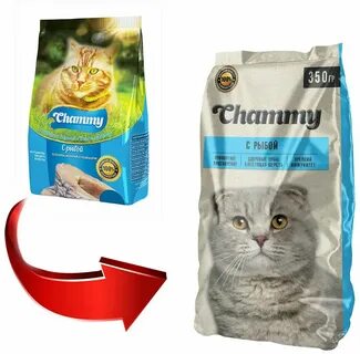 Корм для кошек chammy