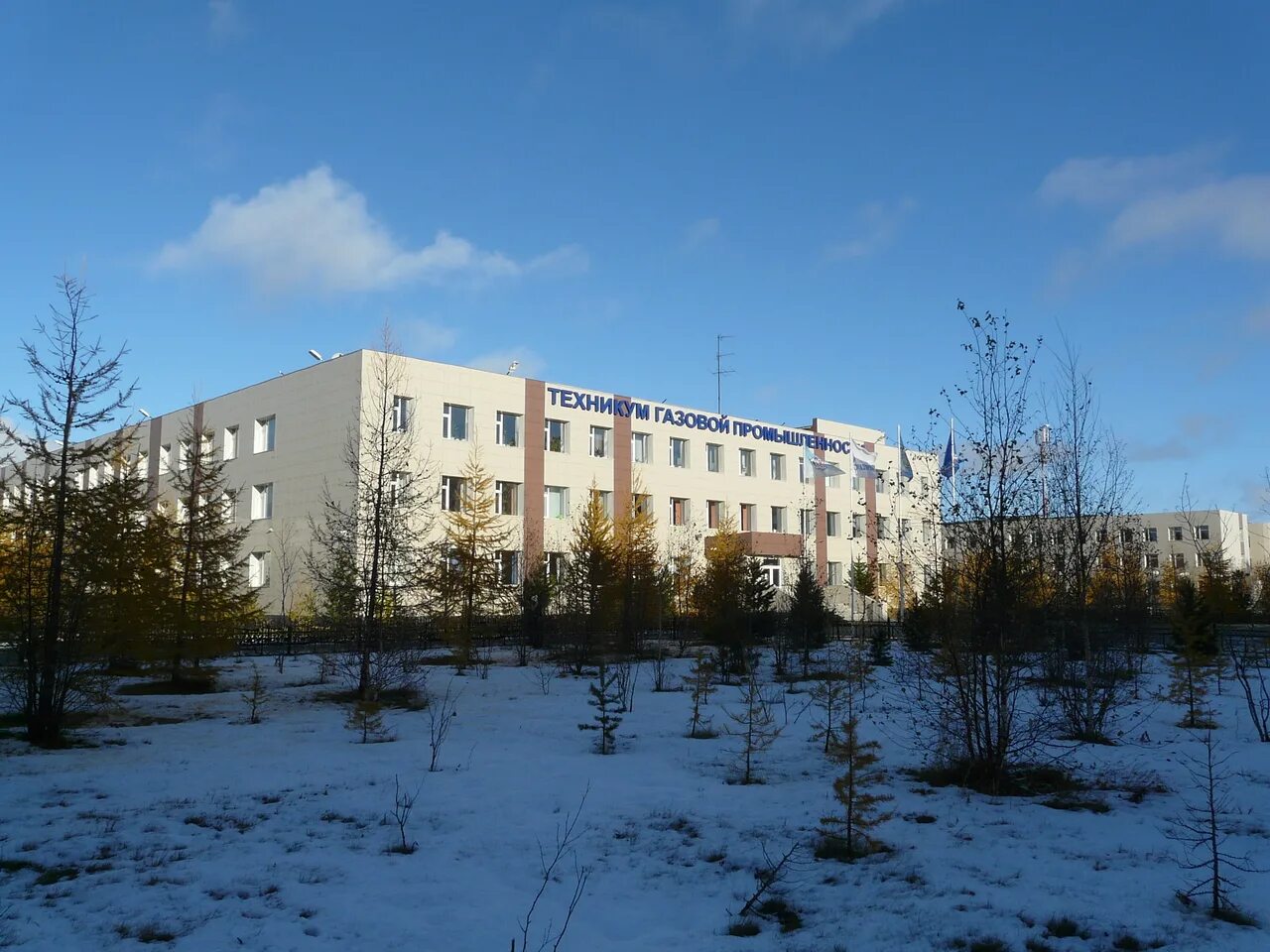 Происшествие новоуренгойский техникум. Чпоу газпром техникум новый уренгой здание. Газовый колледж. Техникумы газовой промышленности. Тюменский нефтегазовый техникум новый уренгой.