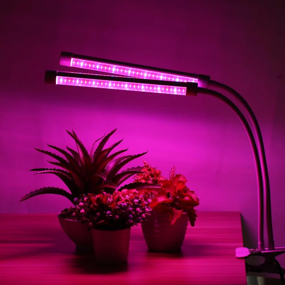 Освещение для растений. Фитолампа grow Light 40 Вт. Светильник Эра фито 20w Aled. Фитосветильник на прищепке Эра Fito-20w-АLED led х 12 Вт. Фитолампа Ladder-60.