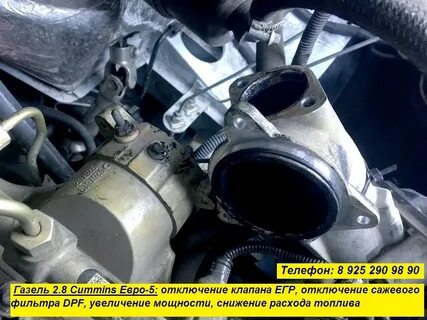 Егр некст