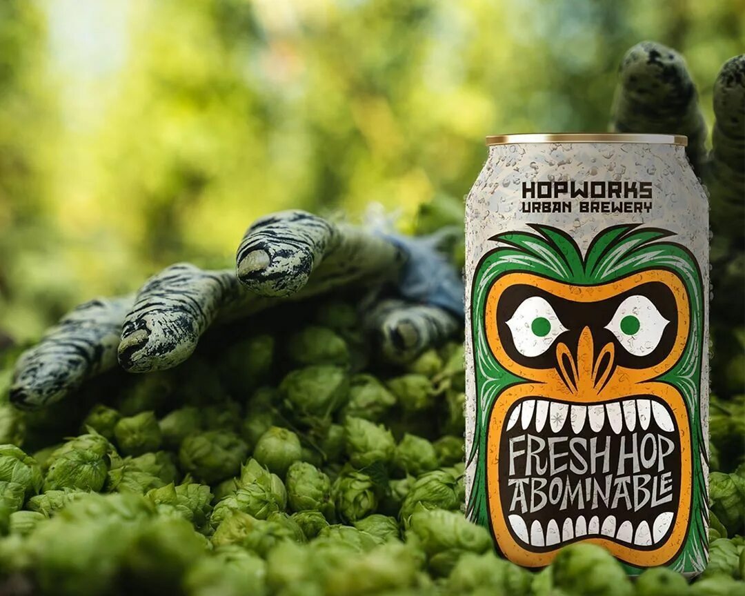 Hop. Beer hops. fresh hop hopping. hops in beer. fresh hops dry hopping.