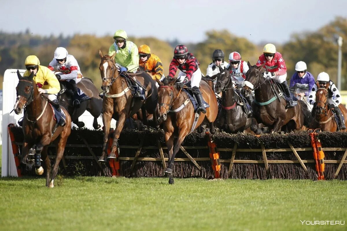 Скачки 8. Triple crown horse racing. Ипподром без лошадей. Скачки 8. Скачки 8.