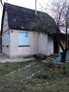 Дальние сады 4