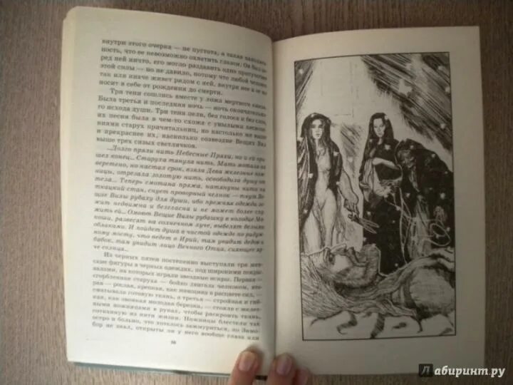 читать на той стороне 4