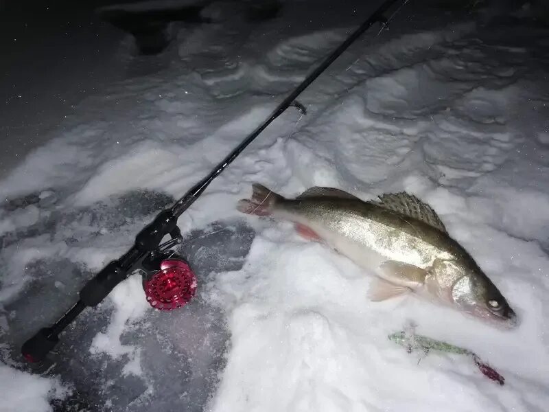 Ночная зимняя рыбалка на судака. Улов судака зимой. Мормышка на судака и берша. Судак зимой ночью со льда. Ловля судака ночью зимой.