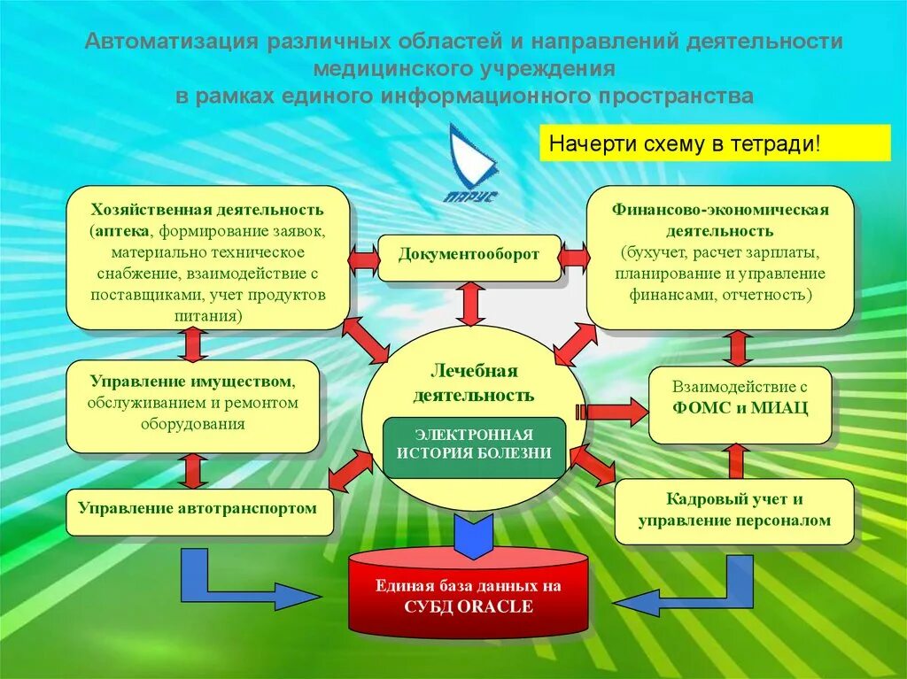 Основные направления деятельности медсестры. Приоритетные направления в информатизации. Направление деятельности медицинской организации. Основные направления реформы здравоохранения. Организация фармацевтического порядка в медицинской организации.