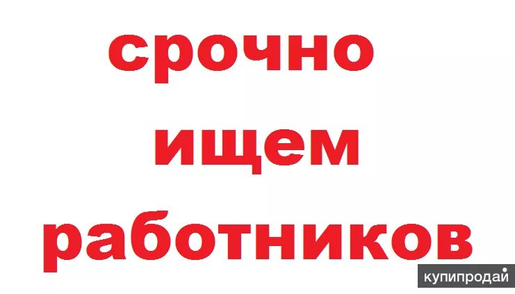 Работа сторожем с ежедневной оплатой