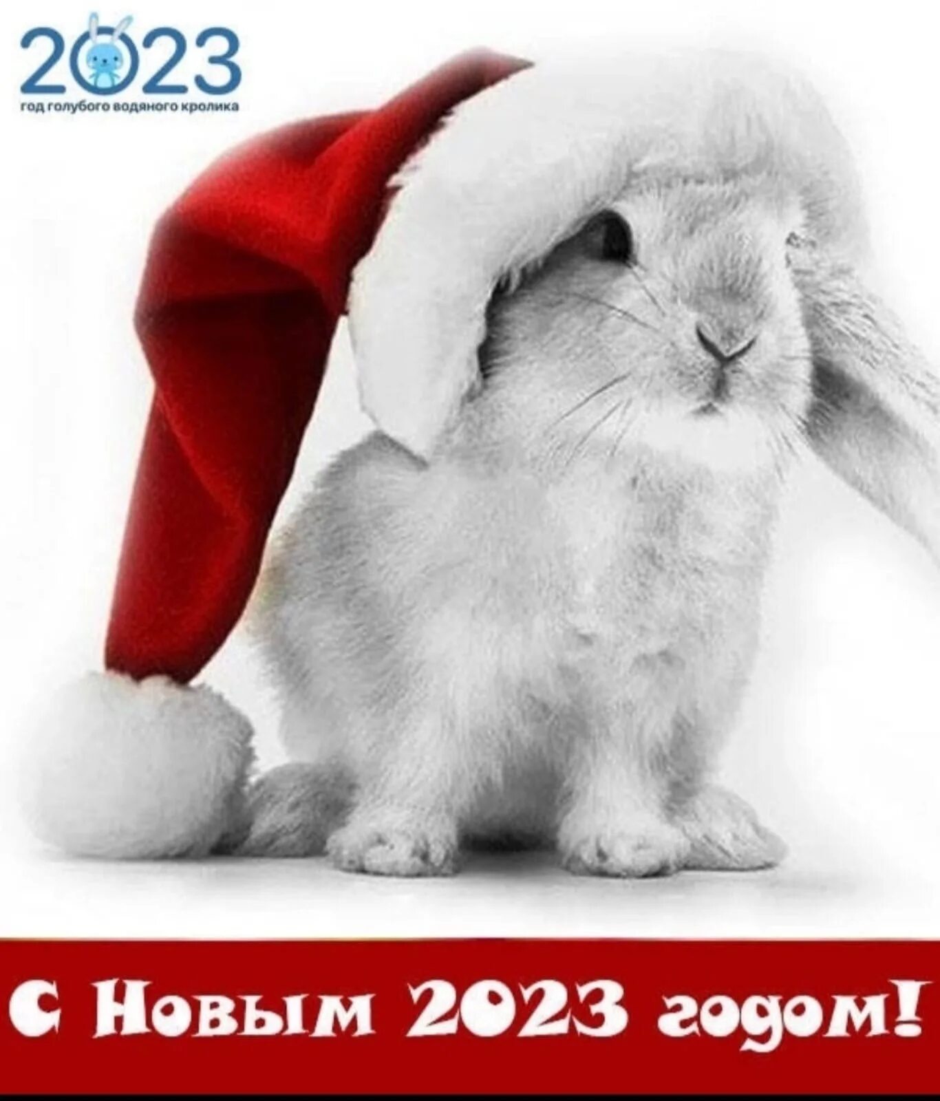 Год колика. Новогодний кролик. новогодний зайчик. новый год год кролика. новый год 2025 год кролика.