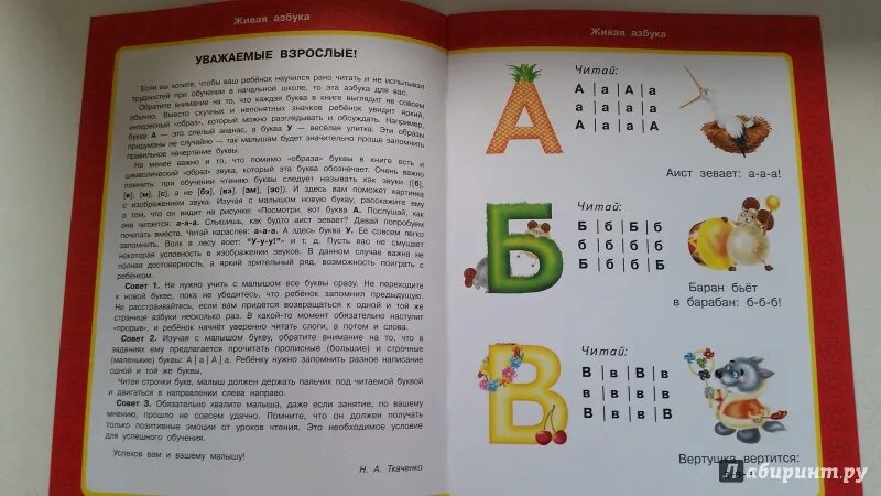 Ткаченко, Тумановская: Живая Азбука. Букварь журавлевой. Азбука с крупными буквами Ткаченко. Живая Азбука книга.