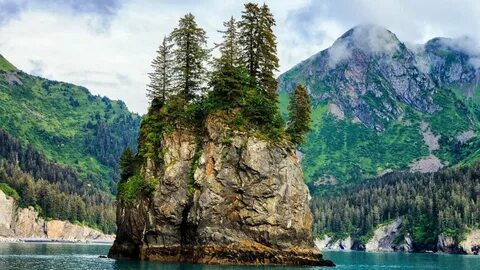 Но особенно хороши горные леса около моря