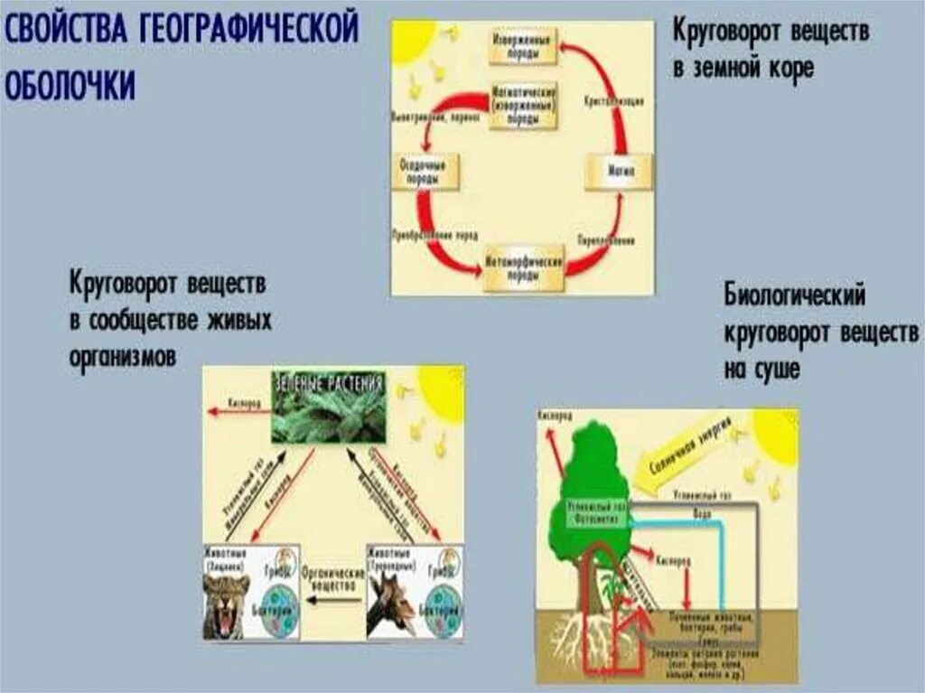 Круговорот в географической оболочке. Круговорот веществ в географической оболочке. Круговорот веществ в земной коре. Географическая оболочка презентация. Свойства географической оболочки 6 класс география