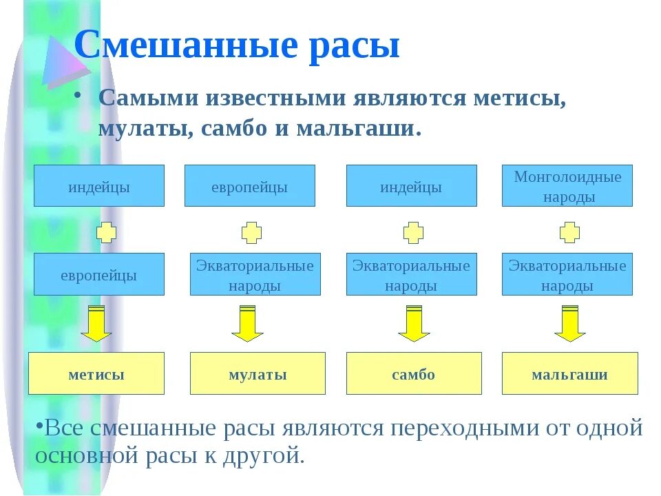 Смешанные расы людей. Метисы Мулаты самбо мальгаши. Смешанные расы. Смешанные расы схема. Схема смешения рас.