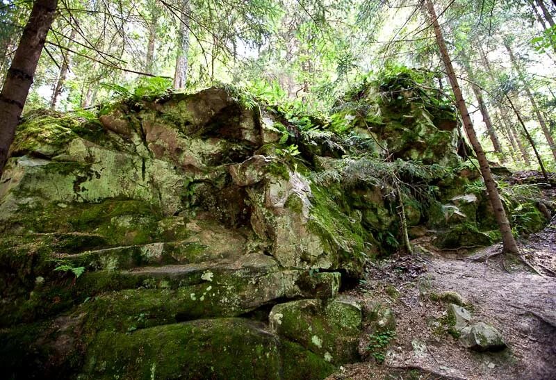 Национальный парк угра чертово городище. Чертово городище калужская область. Национальный парк угра чертово городище. Чертово городище сосенский. Чертово городище сосенский.