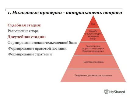 1 налоговые проверки