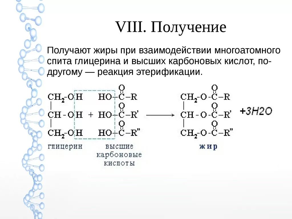 Реакция образования жира из глицерина. Получение жиров из глицерина и карбоновых кислот. Этерификация глицерина жирными кислотами. Реакция глицерина с высшими жирными кислотами. Реакция образования глицерина