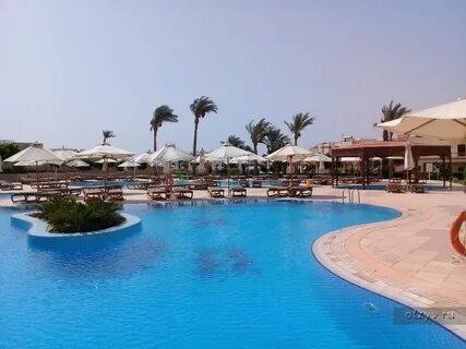 Shark resort