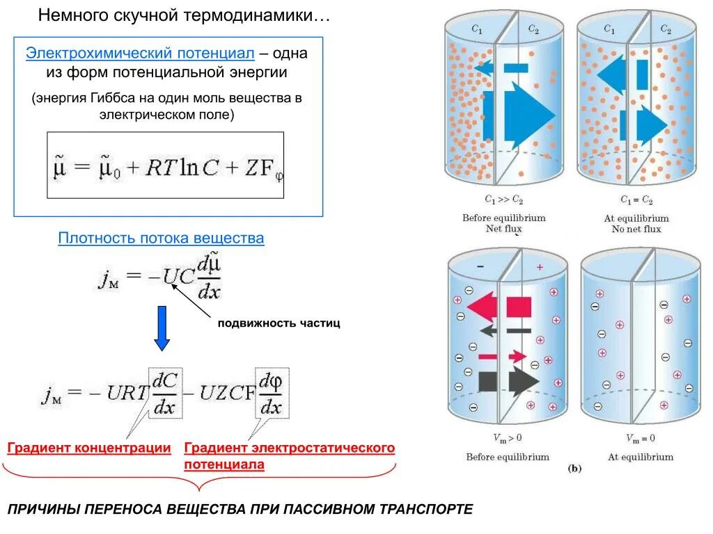 Поток определенных частиц. Потенциал в электрохимии. Поток вещества. Уравнение электрохимического потенциала. Плотность потока.
