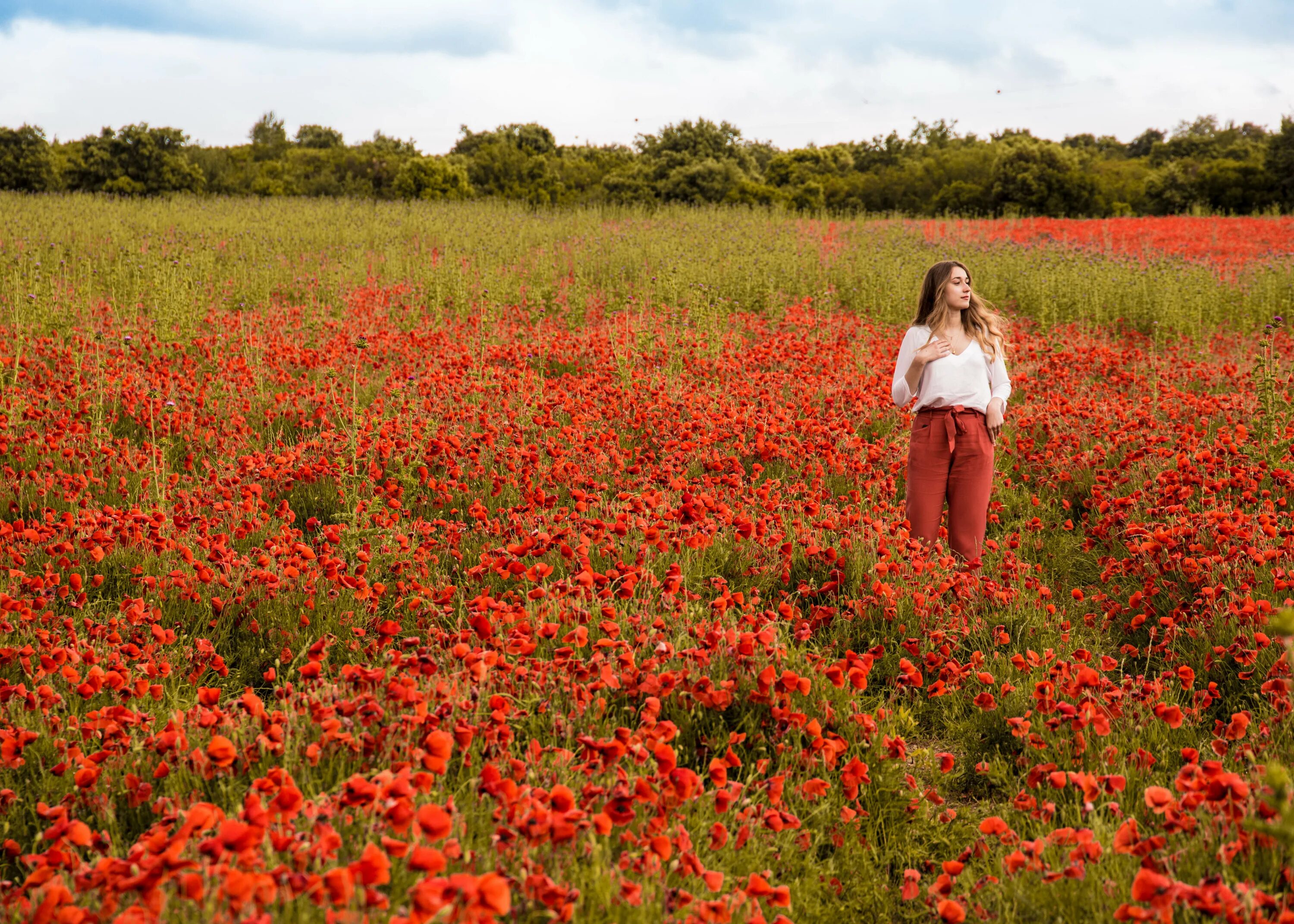"The brilliant poppy flaunts her head Amidst the ripening grain, And adds her vo