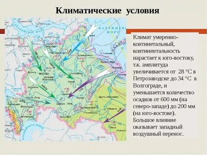 Восточно европейская равнина тектоническая структура и возраст