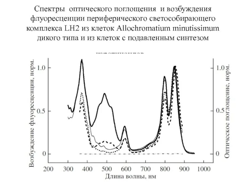 Спектр поглощения пигмента хлорофилла. Сплошной спектр испускания. Оптические спектры поглощения. Оптический спектр поглощения. Оптические спектры поглощения.