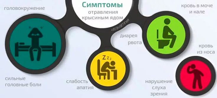 Отравление мышами симптомы. Крысиный яд симптомы отравления. отравление крысиным ядом человека симптомы. крысиный яд отравление человека. симптомы отравления крысиным ядом симптомы у человека.