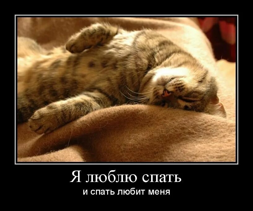 Полюбил спящую