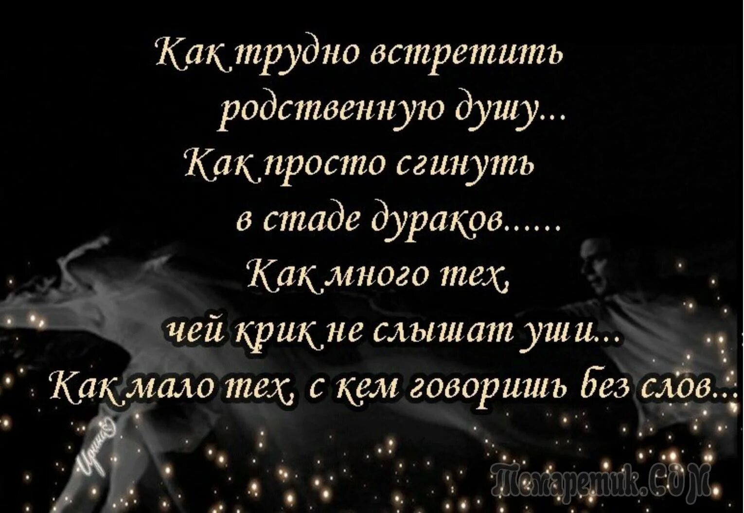 Не встретил ни души. Афоризмы про родственные души. Родственные души цитаты. Родственные души стихи.