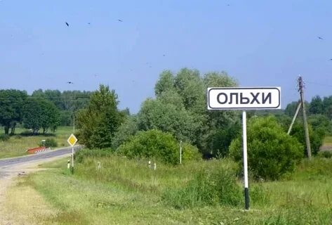 Ольхи рязанская область
