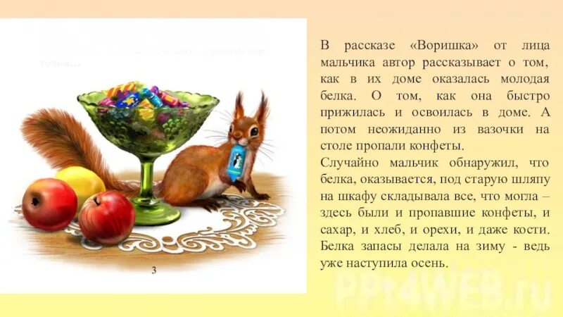 Функциональная грамотность 2 класс про беличьи запасы