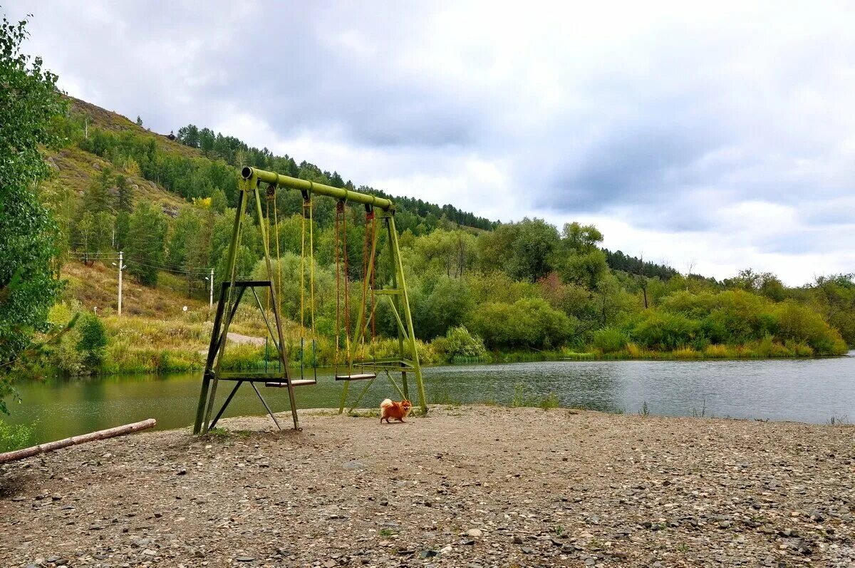 Пляж остров Абзаково. Парк остров Абзаково. Абзаково территория остров. Абзаково Башкирия зоопарк. Абзаково летом