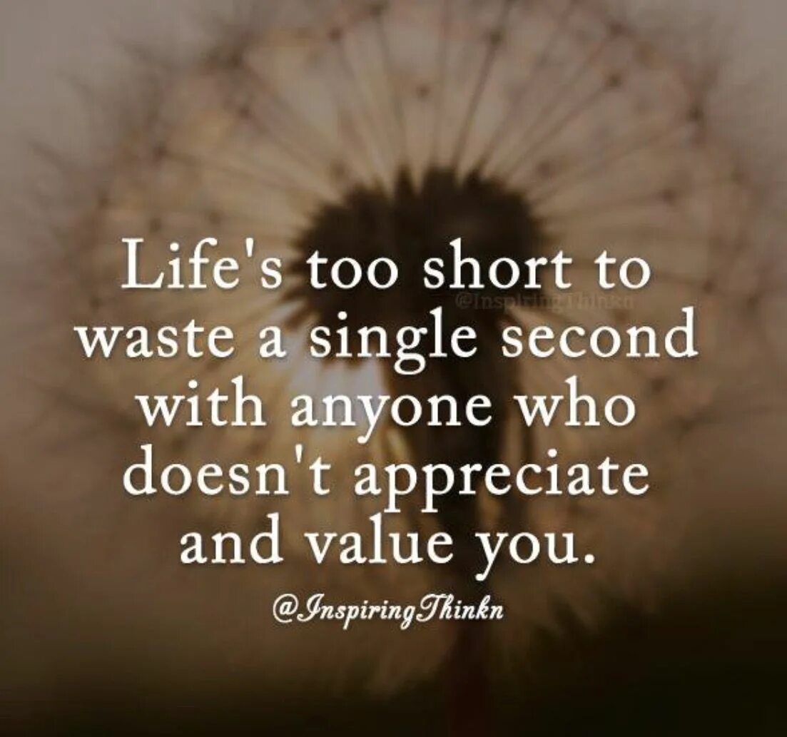 I don t appreciate. When short is too short. i appreciate you. reading blogs is a waste of time. love is just a waste of time split mirrors.