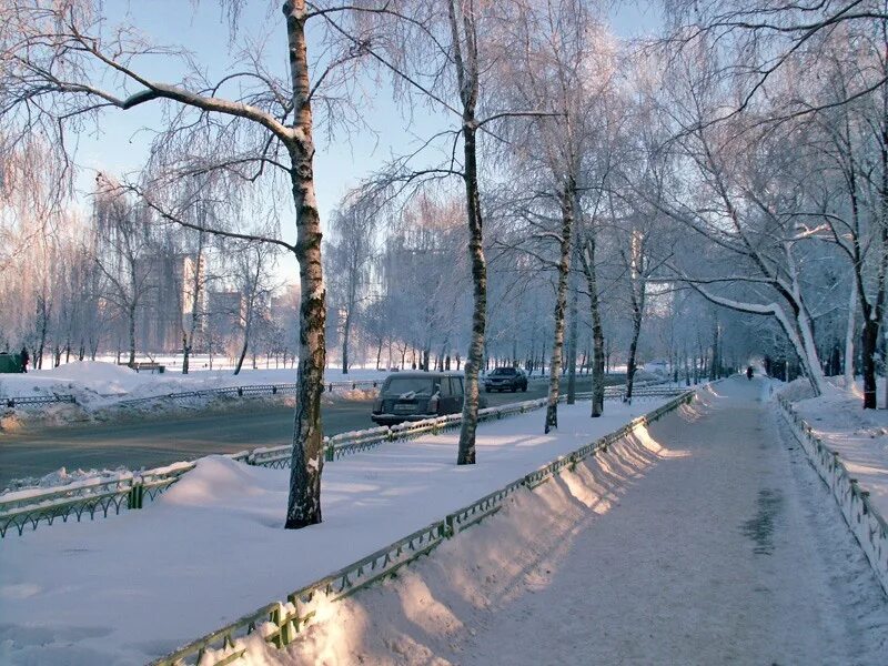 Летопись зимы. 2009 год зима. Летопись зимы. Летопись зимы. Гольяново зимой пруд.