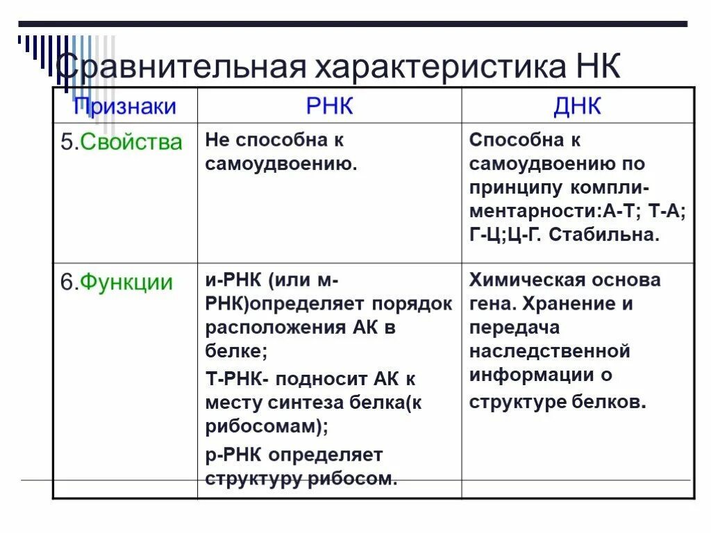 Соединения днк и рнк. Строение и функции ДНК И РНК таблица. Выполняемые функции ДНК И РНК таблица. ДНК И РНК структура строение функции. Строение и функции ДНК И РНК.