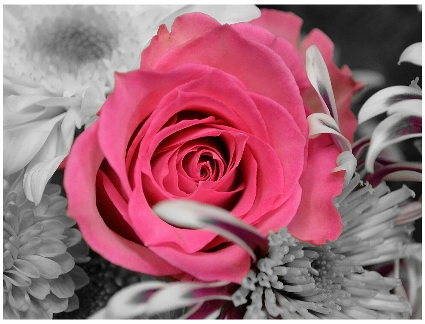 This flowers nice. This flowers nice. I am beautiful. This flowers nice. Have a good day гиф.