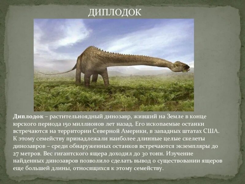 Сколько жил динозавр. Динозавр диплодок факты. динозавр диплодок для 1 класса. диплодок динозавр доклад. диплодок динозавр описание.