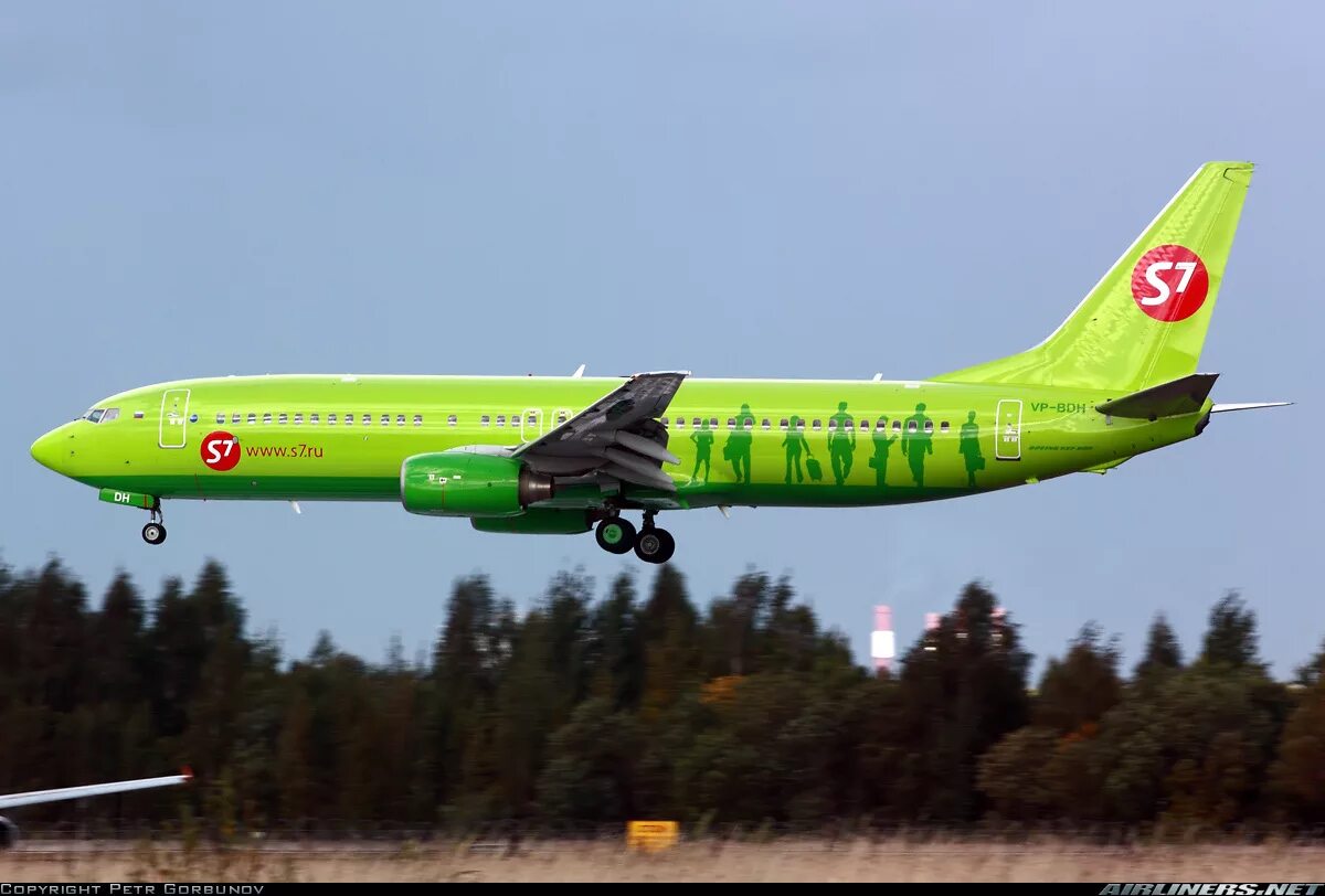 Эс севен купить билет. Боинг 737 с7. S7 Airlines ливрея Сибирь. Самолёт s7 Airlines Боинг 737 800. Боинг 737 800 s7 Airlines новая ливрея.