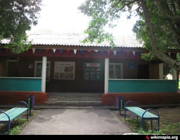 Директор лагеря осетр зарайск. Оздоровительный лагерь осетр. Г. Андрей воробьев лагерь. Андрей воробьев лагерь.