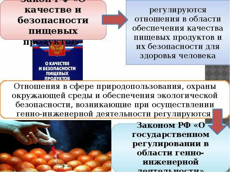 Фз о биологической безопасности. Качество и безопасность пищевых продуктов. .Законодательство в области генной инженерии.. +Биологическая безопасность документы. Состояние законодательства в области биобезопасности.