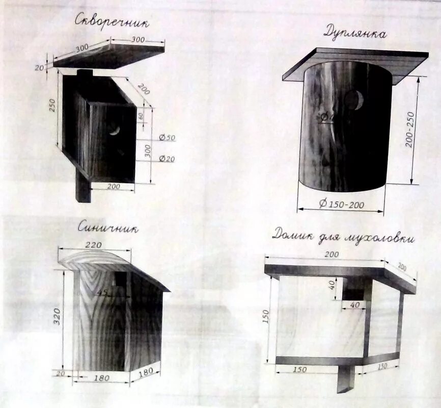 Скворечник-дуплянка для Скворцов. Размеры дуплянки для Скворцов. Чертежи дуплянки для белок. Синичник дуплянка.