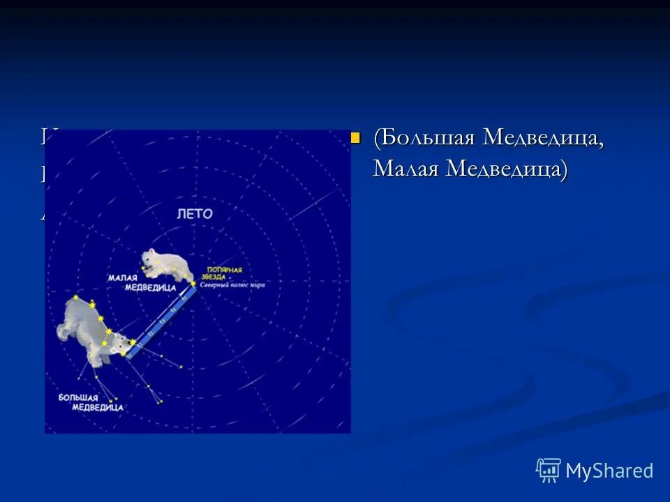 сказка про малую медведицу. большая медведица созвездие. рассказ о малой медведице. сказка омалой медведице и полярнорй звезде. полярная звезда малой и большой медведицы.