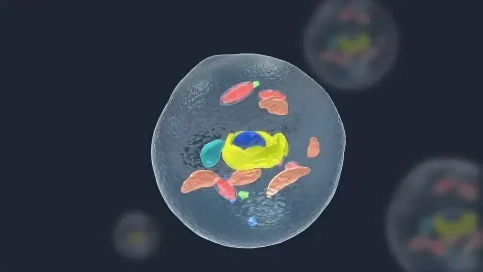 Break cell. Break cell