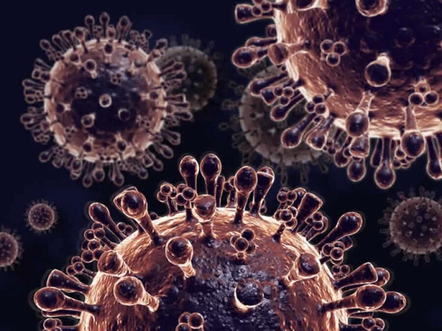 Вирус гриппа под. Вирус гриппа под микроскопом h1n1. Вирус ОРВИ под микроскопом. Вирус птичьего гриппа под микроскопом. Вирус в микроскопе.