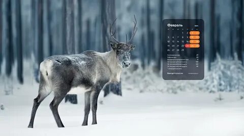 Контур норматив октябрь 2024