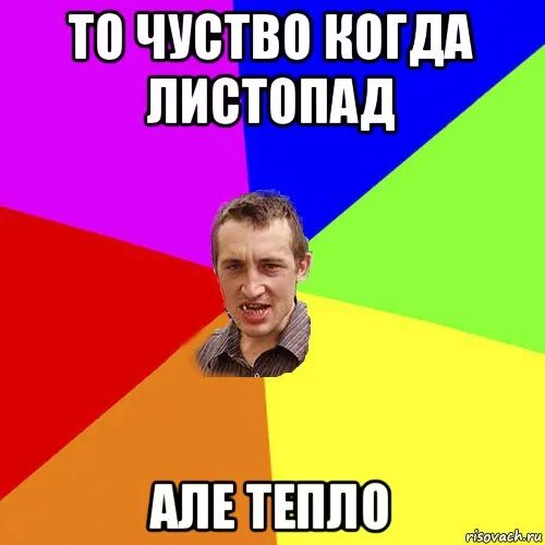 Паша, в жопе каша! 2020 Мемы про Пашу ВКонтакте