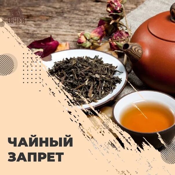 Можно пить вчерашнюю заварку