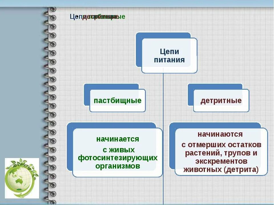 пищевую цепочку выедания ( пастбищную)\. пастбищная трофическая цепь. 2 пастбищные цепи. пастбищная цепь и детритная цепь. пастбищный тип пищевой цепи.